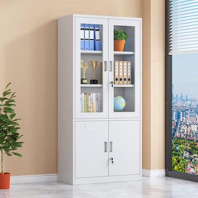 钢制柜文件办公室SSW-TSW1财资料柜务柜凭证铁皮收纳柜档案柜带锁