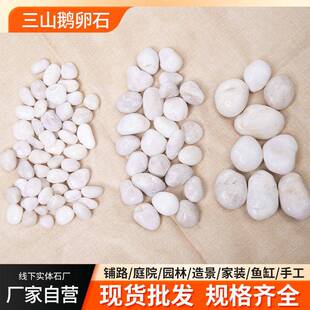 白色鹅卵石白色鹅卵白砾石园盆栽公林园景区铺地头鱼缸园林造景色