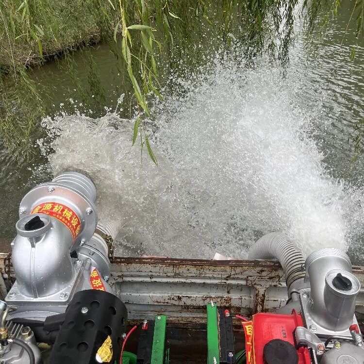 小巧轻便风冷柴油自动抽水泵