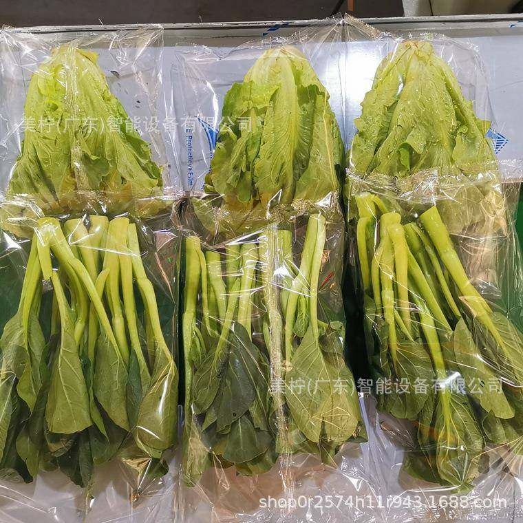 全自动菜机包装机青菜叶327菜套袋套袋生鲜水果芽豆枕蔬式包装机