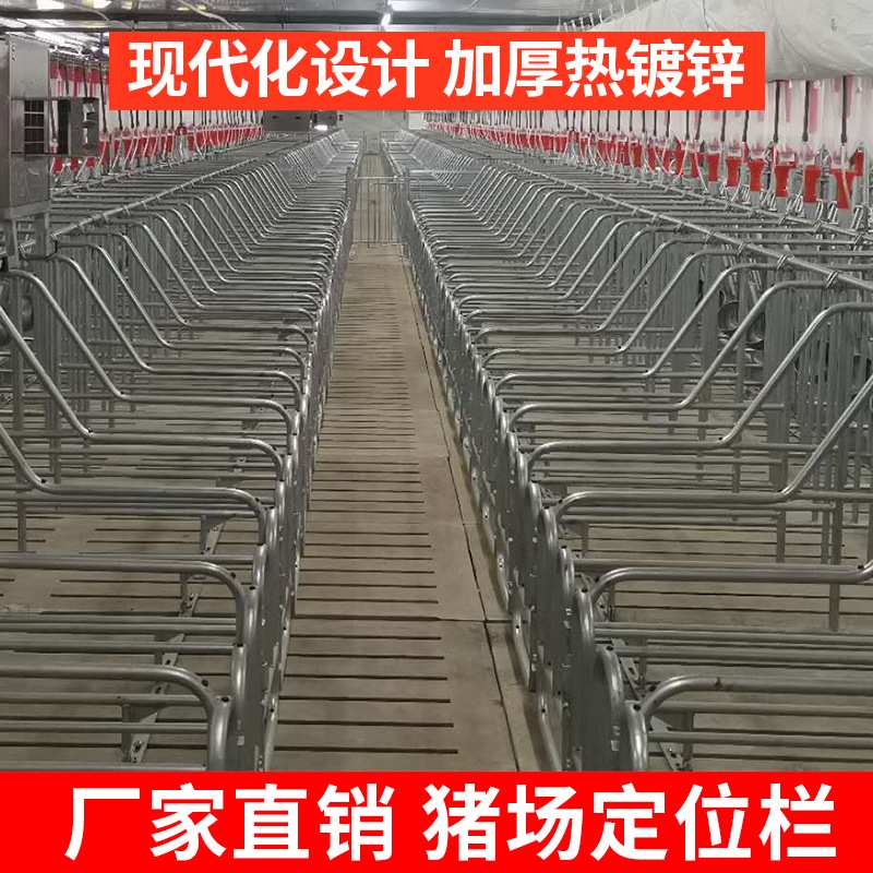 母猪产床定位栏落地式保育养猪产保一体分娩床简易单体双体两用养