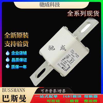 巴斯曼170M4690 170M4691 170M4692 厂家供货销售 低压保险丝