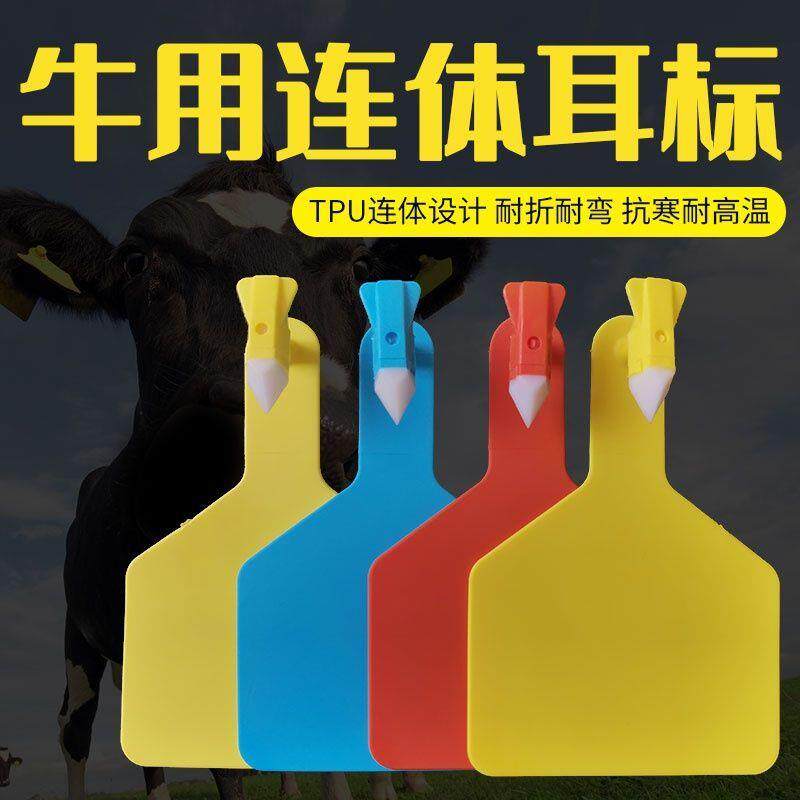 养殖场一体牛耳标识别牌耳号牌连体耳标单片式一体式大号奶牛耳标