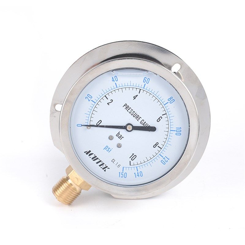 径向带边耐震压力表 YN100T 16bar G1/2 船用 防震 抗震压力表