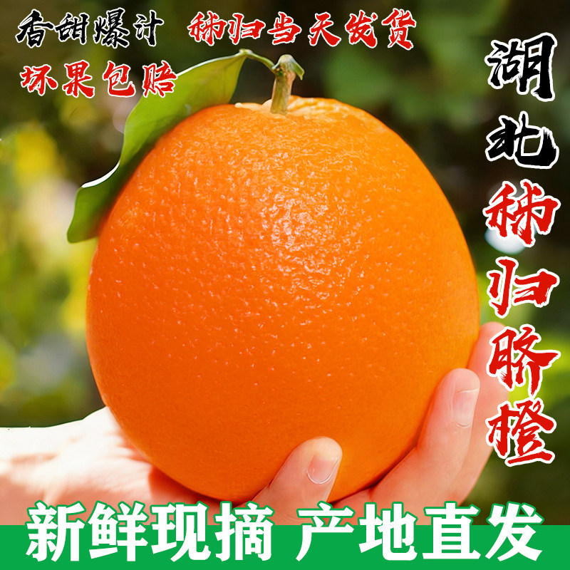 【产地直发】湖北秭归脐橙当季橙子新鲜水果整箱10斤正宗包邮彩箱