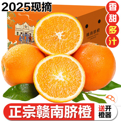 江西赣南脐橙当季新鲜水果