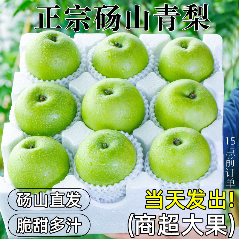 安徽砀山梨正宗翠冠梨图片