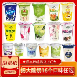 扬大酸奶茉莉花玫瑰花小苹 果冰淇淋风味爆珠扬州大学冷藏16款口