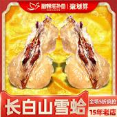 20克 特干新鲜长白山蛤蟆油雪哈膏正品 特大雪蛤联体油 4年林蛙油