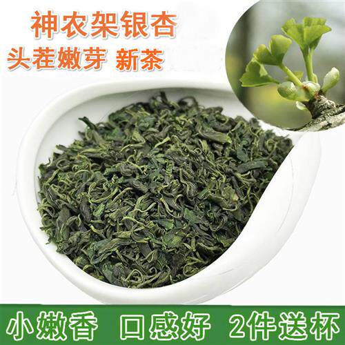 神农架特产银杏叶茶 头茬银杏嫩芽茶 白果树叶已脱毒 250克包邮