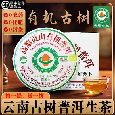 2023年有机认证普洱茶生茶叶古树头春红萝卜云南高黎贡山普尔茶叶