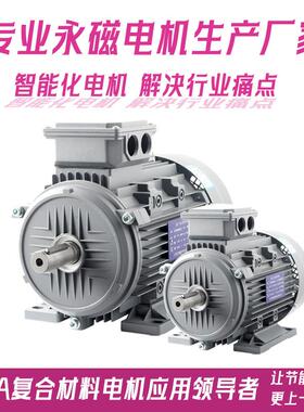 浙江220/380V高效永磁同步电机生产厂家YE5B3B5B35B14