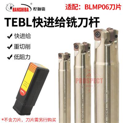 悍狮霸快进给铣刀杆TEBL高进给铣刀盘特固克通装双面铣刀片BLMP06