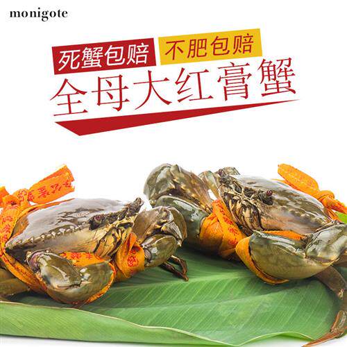 三门青蟹鲜活公母螃蟹大红膏蟹特产红鲟海鲜水产礼盒两斤装3-4只