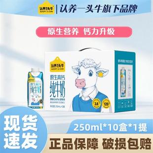 官方正品认养一头牛原生高钙纯牛奶250ml*10盒学生儿童早餐奶2月