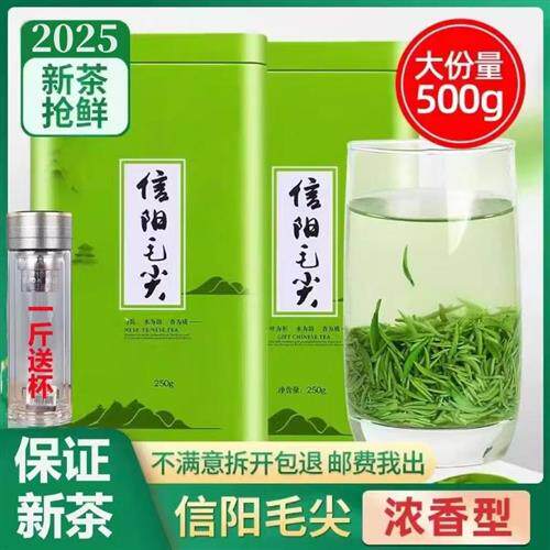茶叶2025新茶信阳毛尖雨前嫩芽高山绿茶浓香型自己喝春茶散装500g
