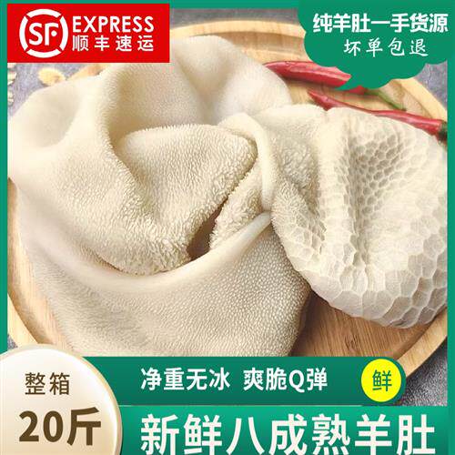 熟羊肚整个羊净肚新鲜冷冻羊杂羊胃火锅串串食材5斤/商用顺丰包邮