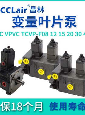 VPKCC TCVVP叶片VB1B1油泵VE1E1 VPVC TCVP VPKC-F12/15/20/30/40