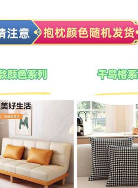 小户沙发懒沙发可折叠床一体济两用型AMX简人约出租房沙发床经型