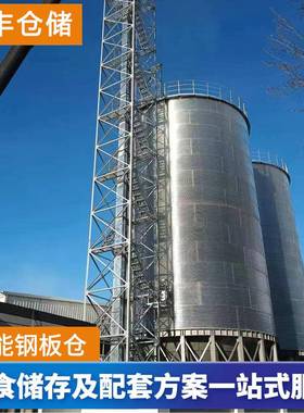 00粮食存储设备吨制造厂家JHM联丰专业板粮仓生产平5底锥底钢仓