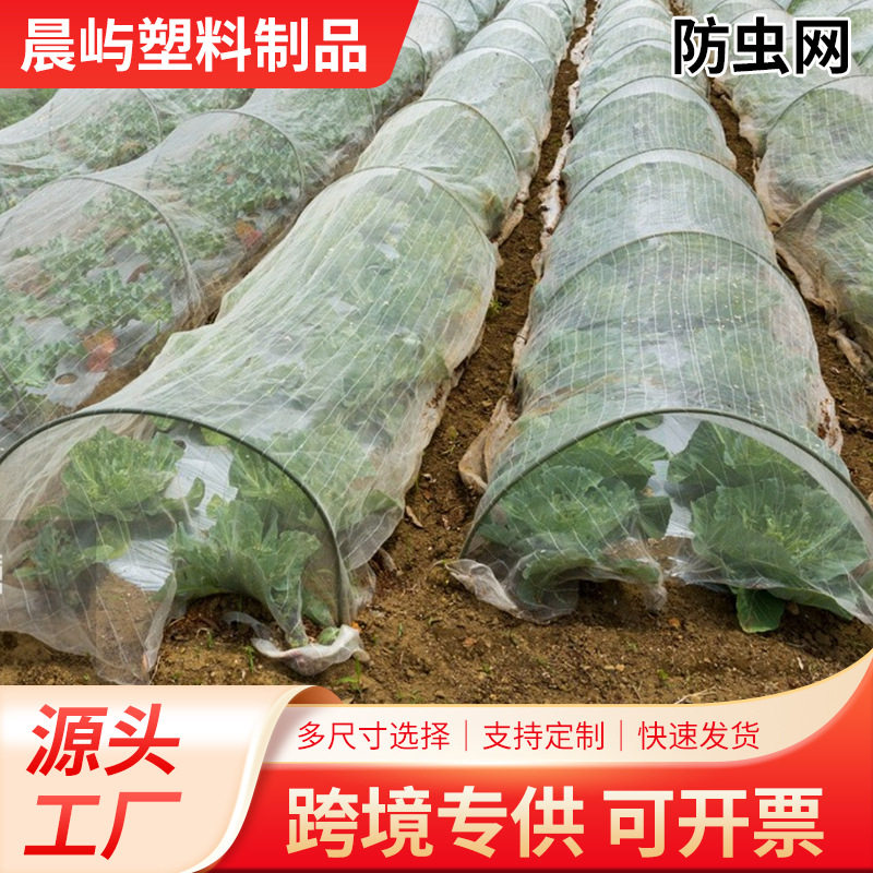 防虫网种菜专用网目防虫罩加密纱网菜苗菜地果园网蔬菜防鸟罩