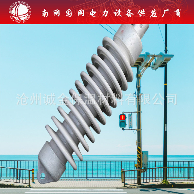 双重绝缘铁路腕臂绝缘子