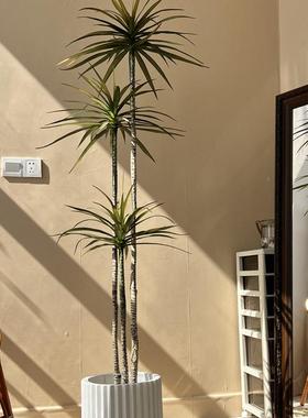 仿绿色物植剑真麻千木仿生假植物年室内客厅装饰盆栽轻奢落PKB地