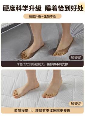 天然椰棕脊床垫人1.8米腰加硬3cm可定护949制儿童老榻榻米硬垫子