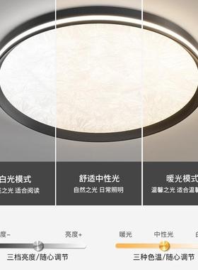 225款烟花纹理28237磨砂漆意喷式极简LED新智能护眼卧室灯中山灯0