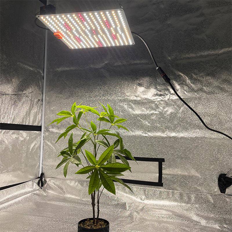 100W量子led植物生长灯室内光板谱多肉兰草栽CUO绿植1全50W补光盆