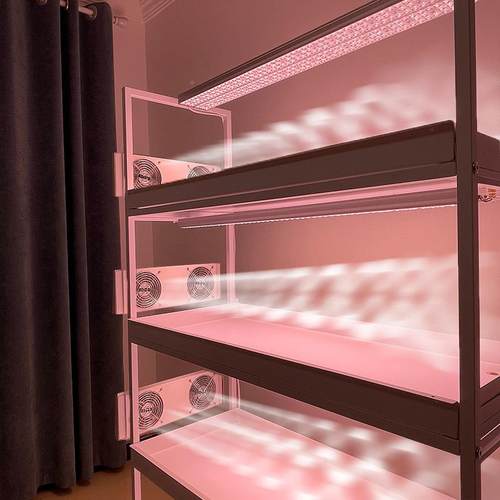 大推扇车浸盆款多DTC1肉光植物花架带可拆卸调速风（不补含灯）