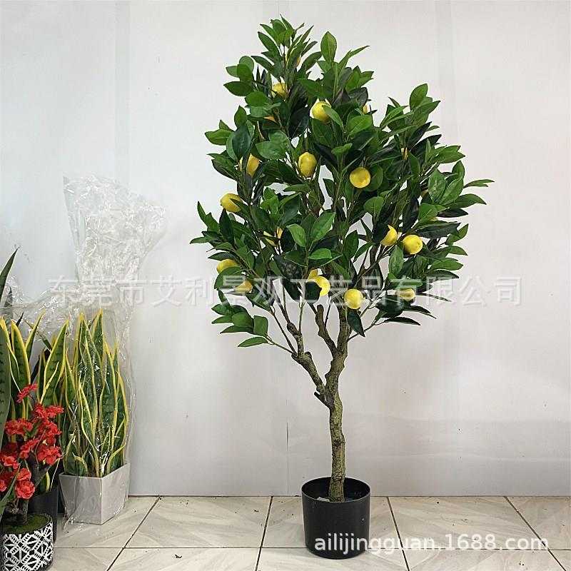 柠盆檬树枝栽THN观园林景植物果树室内庭院装饰假树绿植