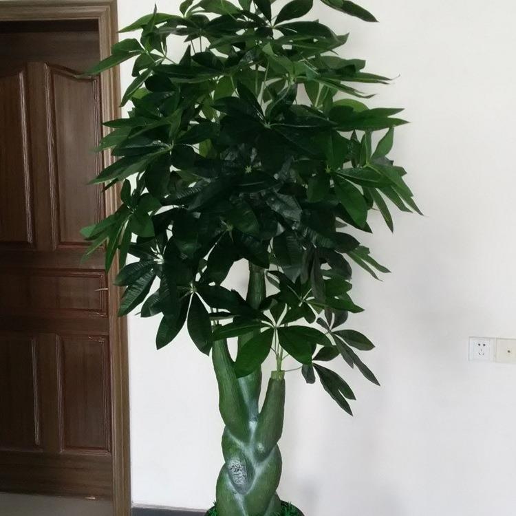 植物型假树财树客发大厅摆设10037849酒店装潢假花2盆米木兰树景