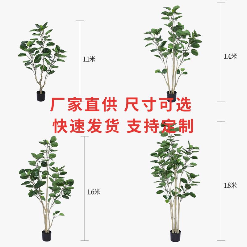 招财树禄多仿真金钱兜仿盆栽金钱桐福桐圆叶桐钱树钱真多仿真仿真