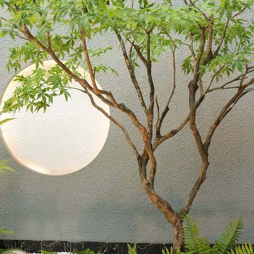 仿真青地枫树真枫叶树装饰假树橱窗生绿植造景室内仿植tb-79574物