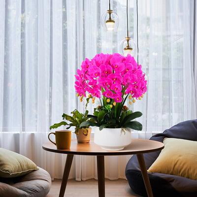 工厂蝴直销蝶兰仿真花高花品质客厅摆件艺花套装假盆栽TVF家居装