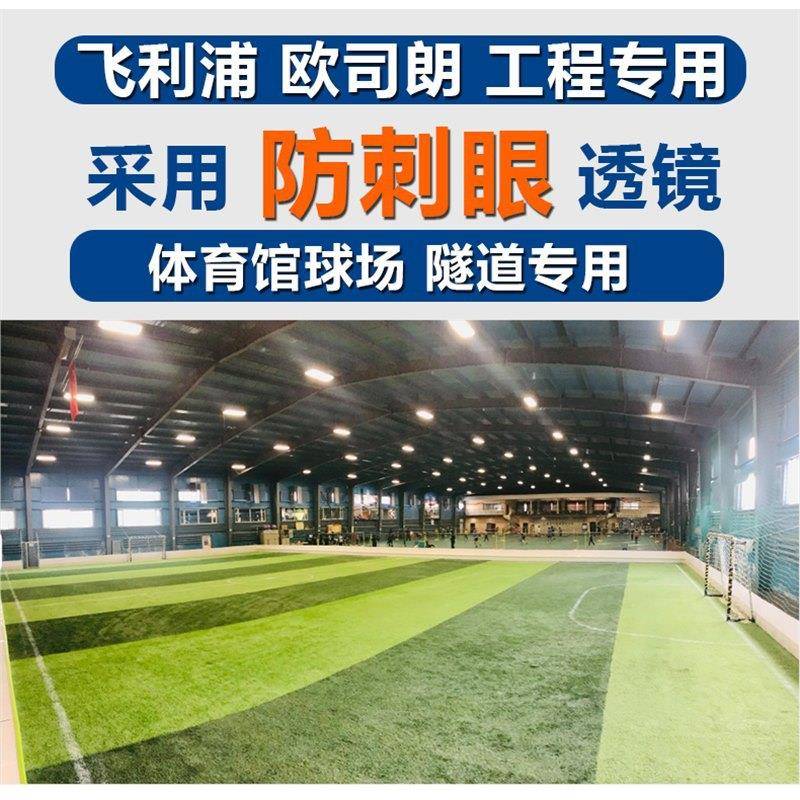 工程款隧道模组500W工程款隧大功率防投光灯户外灯水场灯高杆路球