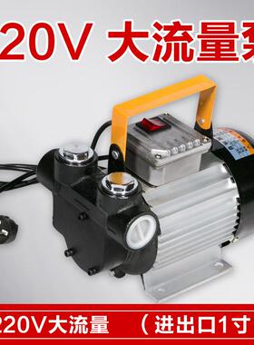 102V24V110v22V抽油泵车载移动油加油泵fueltrans361fer柴pump
