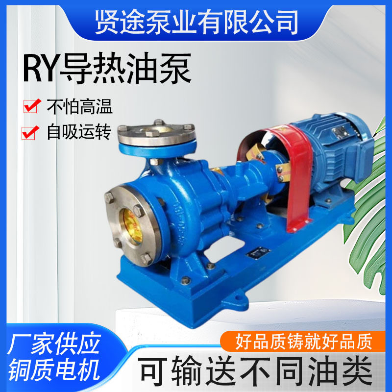 导热油泵 电动卧式风冷式离心泵RY50-32-160热油循环泵耐高温图片