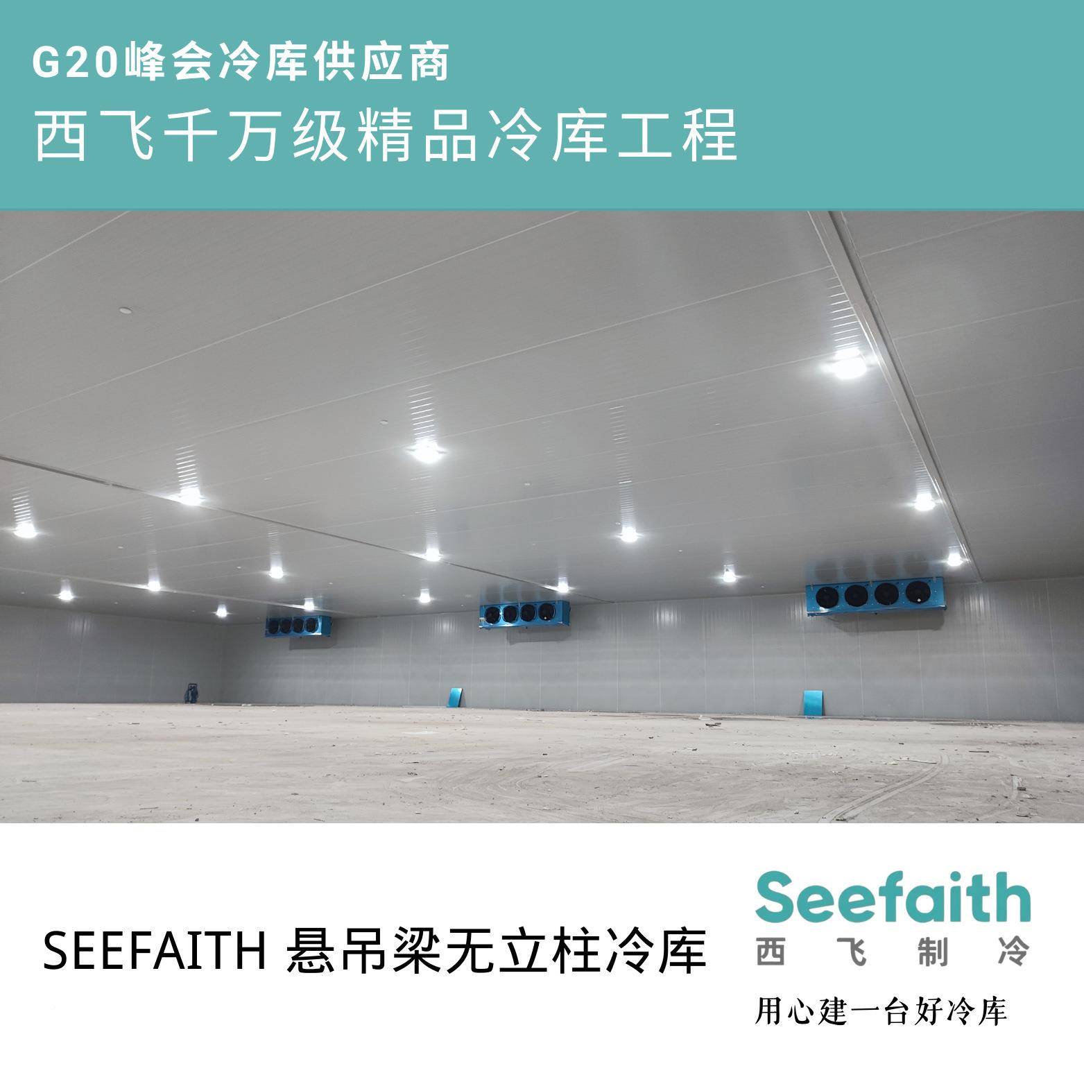 新能源库库节冷库大型企业冷冷库悬吊梁冷库无DIB立柱冷电解液冷