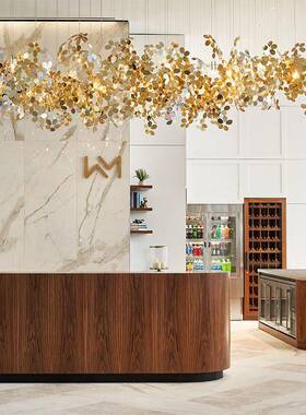 酒店大堂挂装饰坠吊灯美术院博物馆大挂厅吊灯k悬t前213v台吧台吊