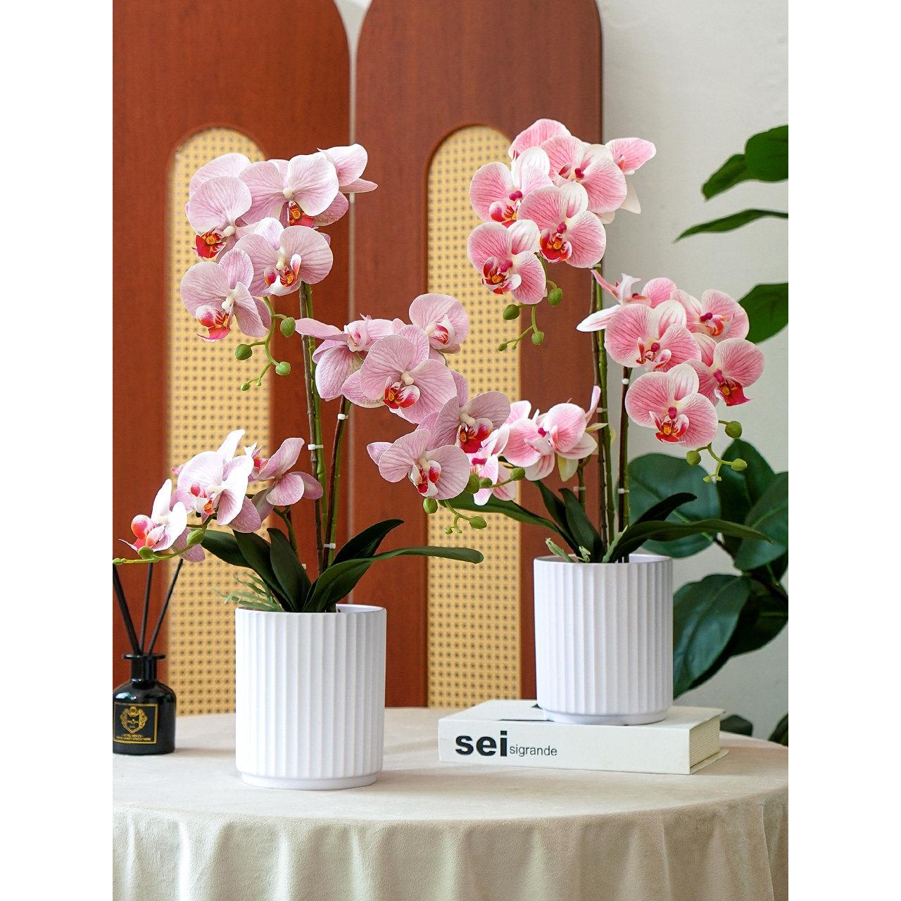 新中式蝴蝶兰彷真花客厅餐桌假花盆栽插花摆件塑料干花装饰花摆设