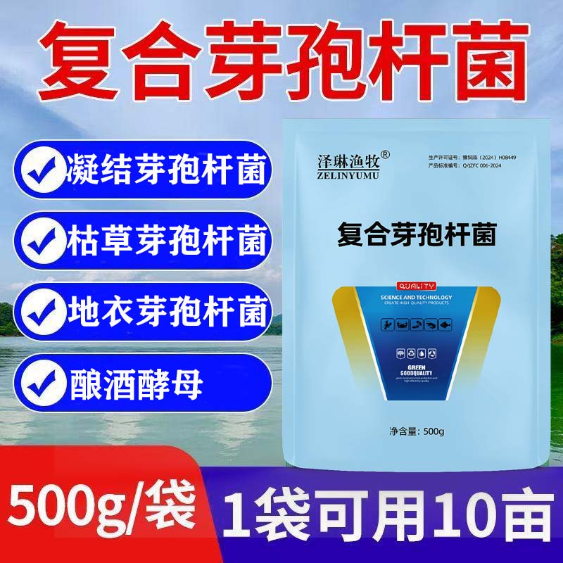 水产养殖复合芽孢杆菌净水降氨氮