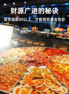 泰亮中星超高流明BNO摆摊长夜市露营户外灯电照明灯led应急超充续