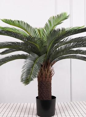 装饰真铁树盆栽假室内绿植装扮酒店商QH-53018场摆件仿仿真树绿植