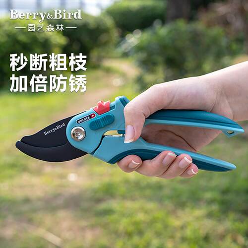 Berry&Bird园艺修枝剪刀园林果树花枝粗枝盆景造型专用修剪工具