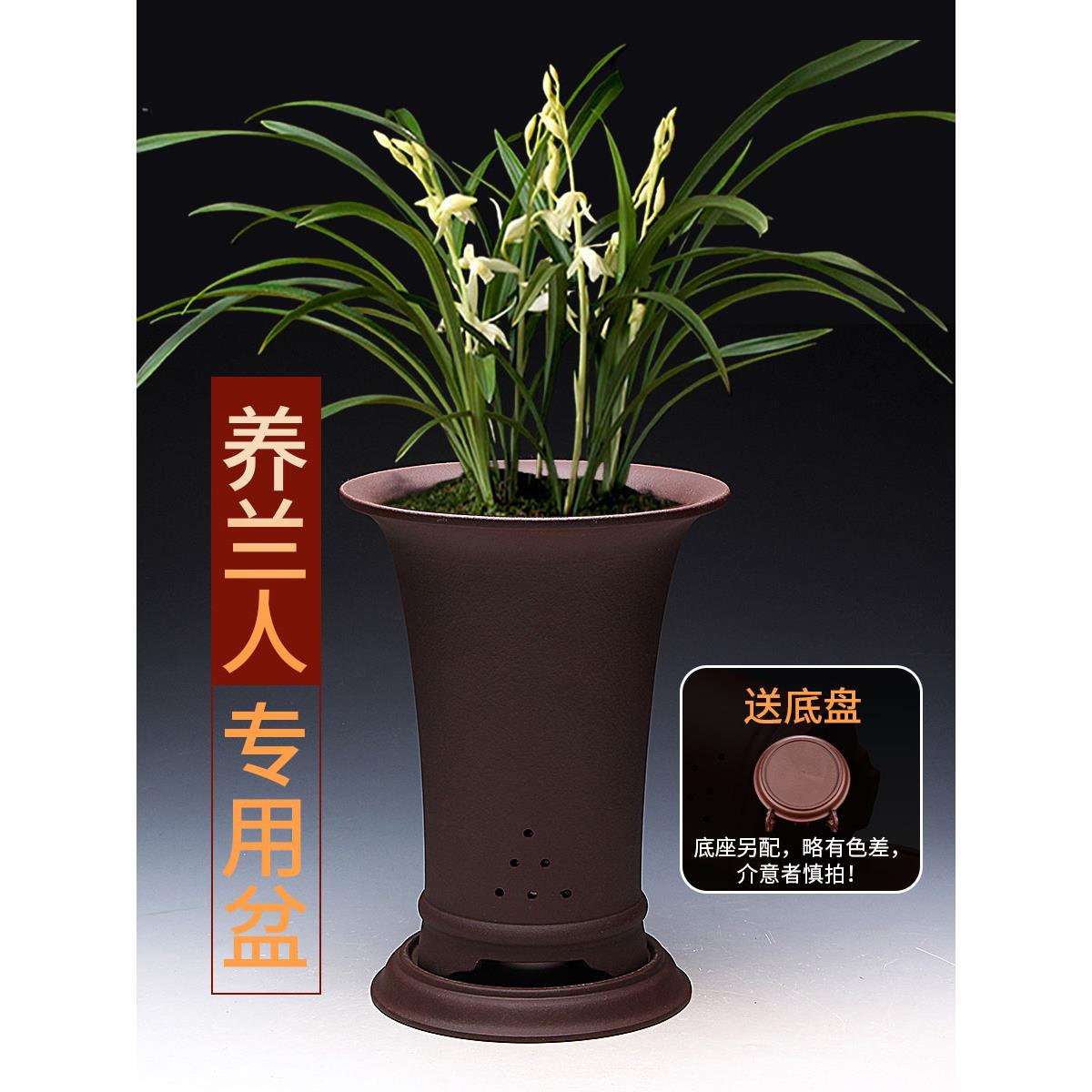 兰花花盆陶瓷兰花草专用花盆底座经典精品黑腰兰花花盆宜兴紫砂花