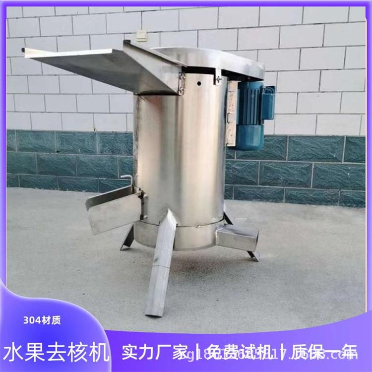商用用酸枣槟去核榔机商鲜果果肉脱核机枇杷ETW樱桃山楂打浆去核