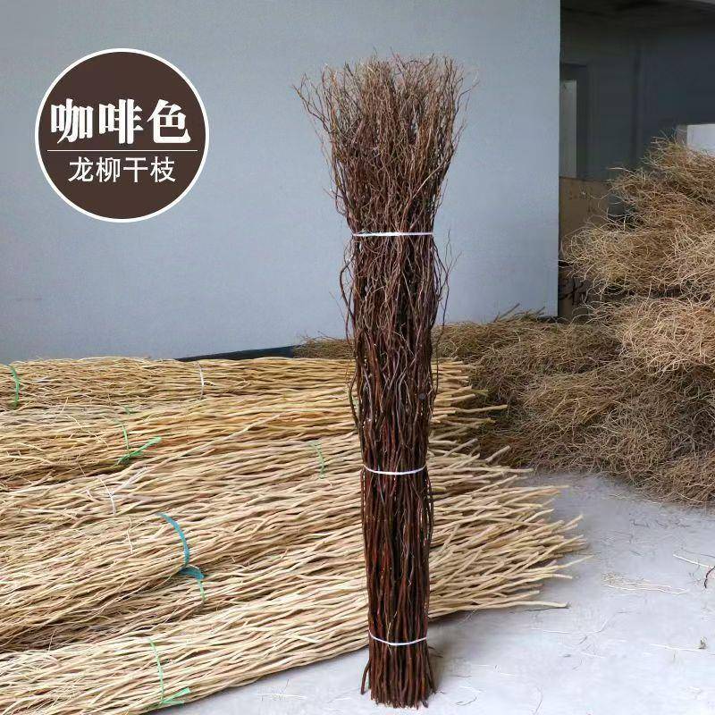 。花龙柳曲门柳干枝干花树枝婚庆拱装饰客厅落玄关隔F756S66J断橱