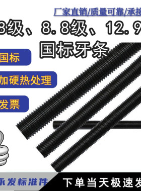 高强度牙条丝杆丝杠全丝螺杆通丝螺杆全螺纹螺柱m8m10m12m1416m42